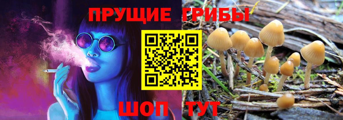 Галлюциногенные грибы MAGIC MUSHROOMS  Вход с VPN  Елизово 